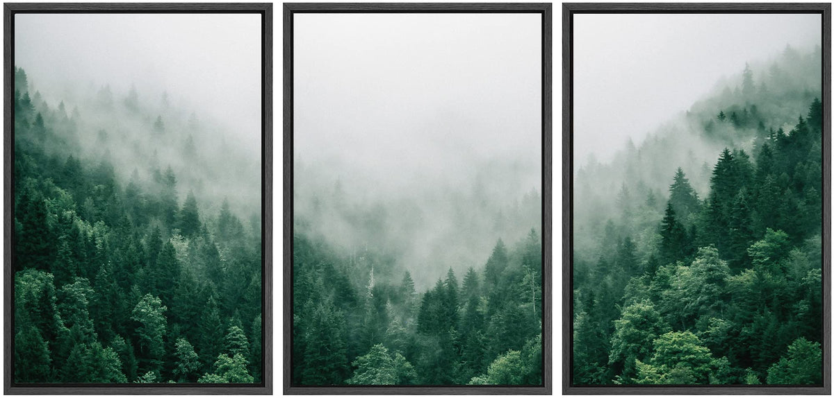 Signwin Framed Canvas Print Wall Art Set Fog & Mist Mountain Forest Va ...