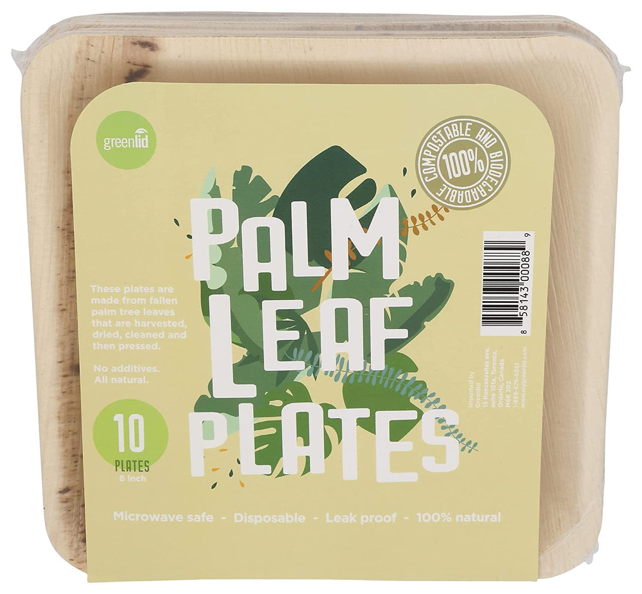 Greenlid Sqr Plate 8Inch ( 16 X 10 Ct   )