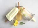 Stainless Steel Popsicle Molds And Rack Stainless Steel Popsicle Maker -Ice Pop Molds Bpa Free -Ice Cream Mold Pop Molds With Wo