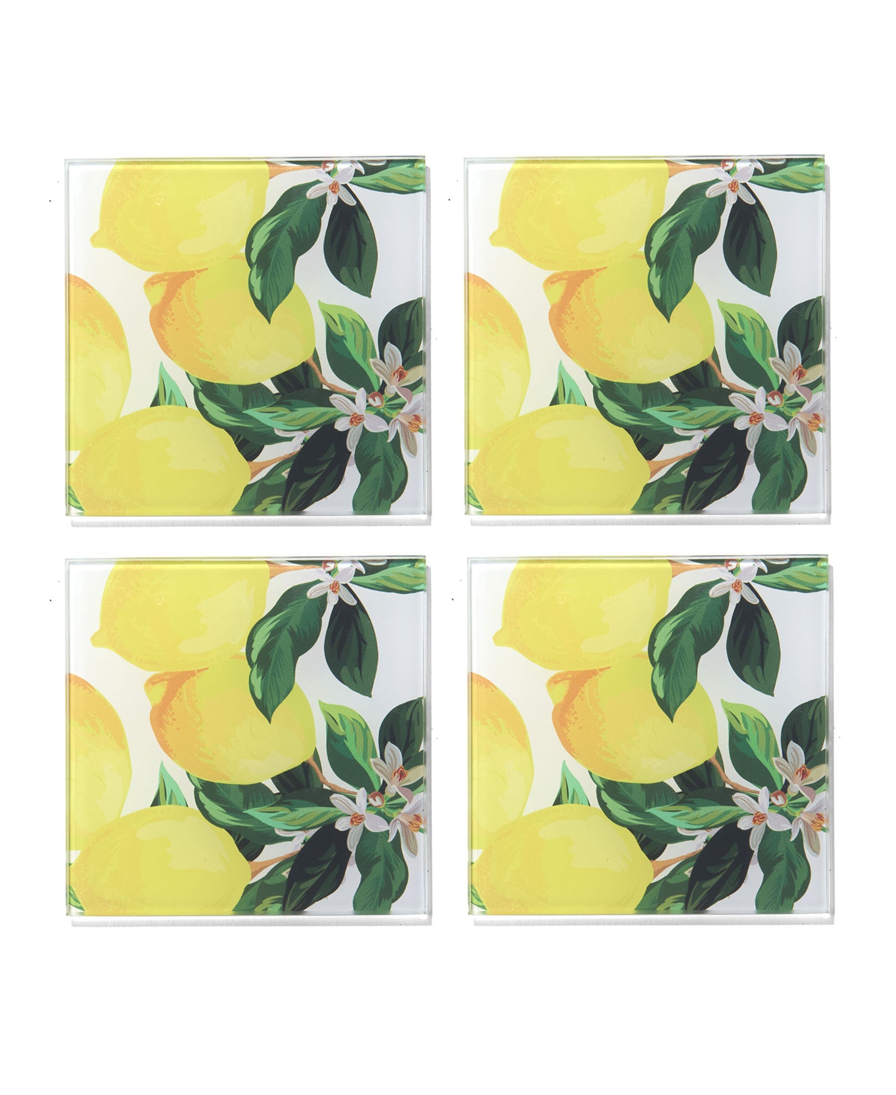 Meyer Lemons Glass Coasters - Set of 4