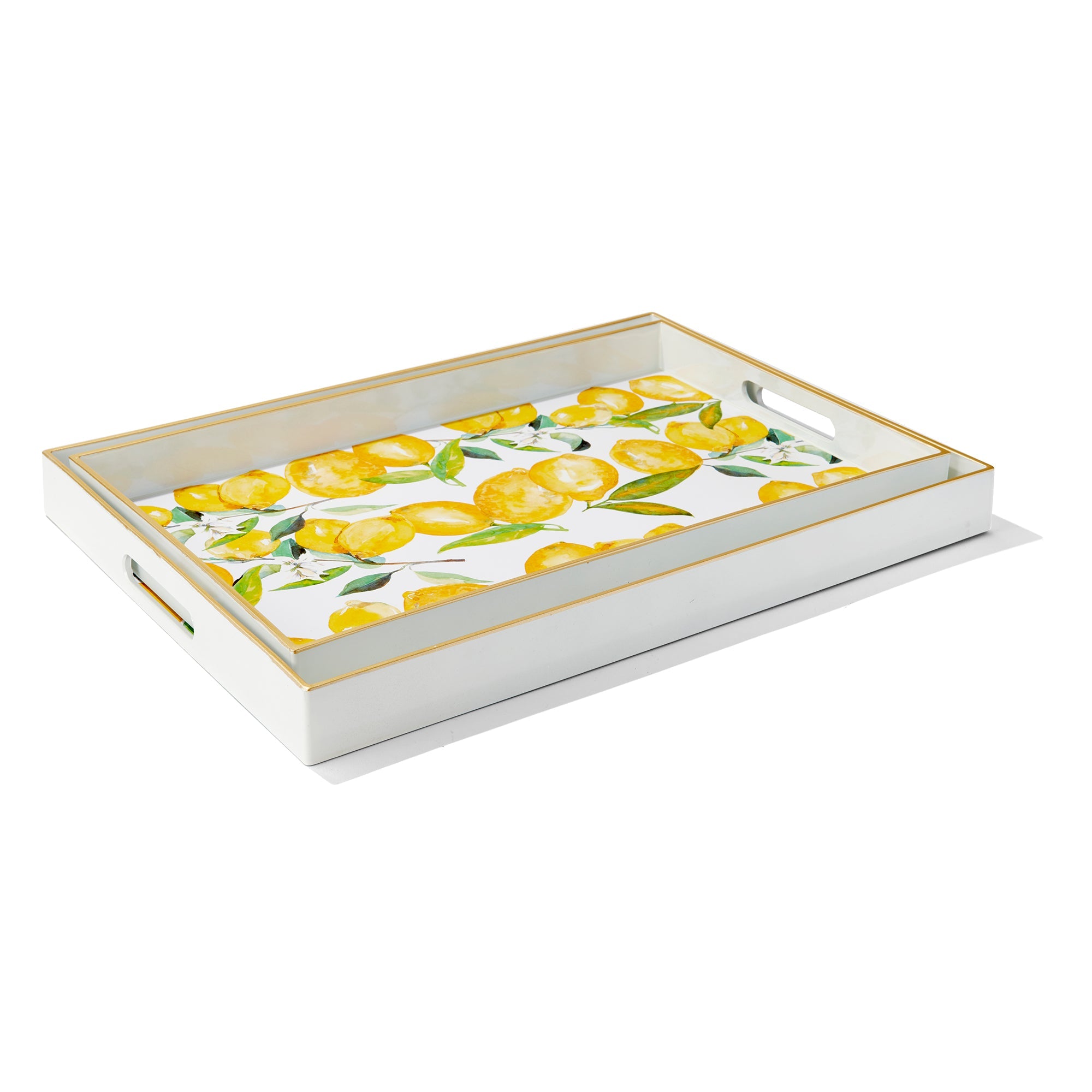 Lemon Branches Set Of 2 Trays