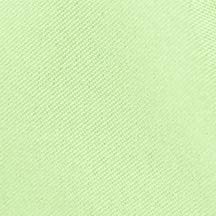 Tablelinensforless 17X17 Inch Polyester Cloth Napkins, Set Of 6 (Mint)