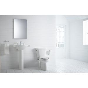 Kohler K-37056-Cp Alteo Vertical Tissue Holder, Polished Chrome