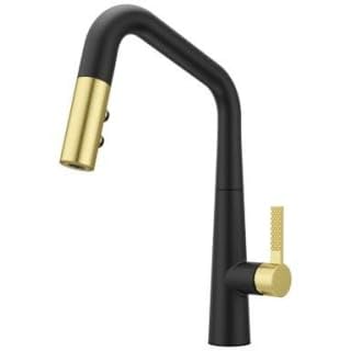 Pfister GT529-ASRBBG Kitchen Faucets and Accessories, Combo-Matte Black and Brushed Gold