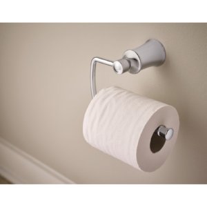 Moen Yb2108Ch Dartmoor Single Post Toilet Paper Holder, Chrome