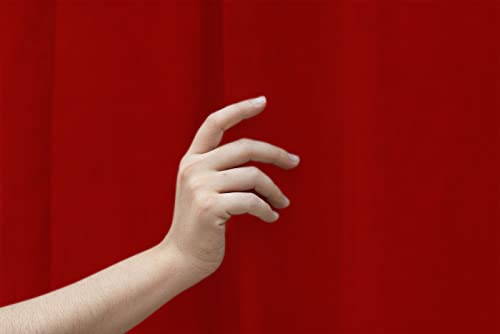 Blackout Curtain Room Darkening Long Door - 9 Feet (Fire Brick, Thermal Insulated, Noise Reducing, Eyelet Design)