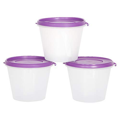 Cutting Edge Nesterware 1000Ml Stackable Food Container (Set Of 3, Purple)