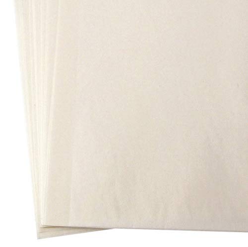 Toddy Cold Brew System - Paper Filter Bags (50 Pack), Natural, 11.5'''' X 13'''' Paper Filter Bag, Thmpf50