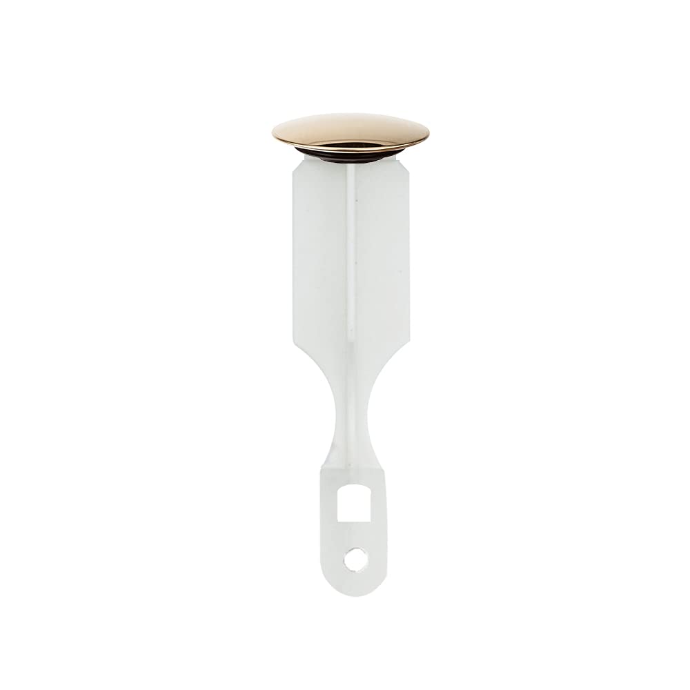 Pf Waterworks Pf0242 2 Hole Pop-Up Stopper, Polished Brass