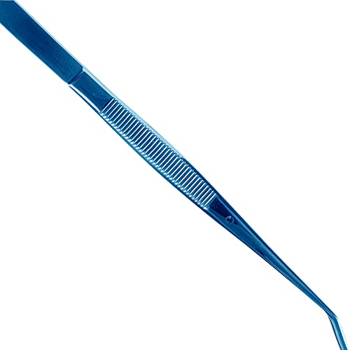 Restaurantware Perfect Point 6.3 Inch Curved Tweezer  1 Slant Nose Food Tweezer - Serrated Tips For Precision  For Garnishing  Plating  or Decorating  Blue Stainless Steel Kitchen Tweezer  Sturdy