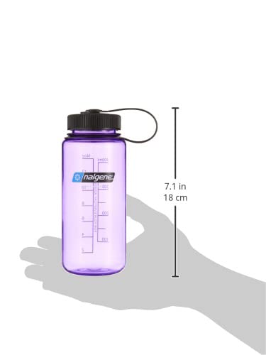 Nalgene Tritan Wide Mouth BPA-Free Water Bottle  Purple  16 oz (342056)