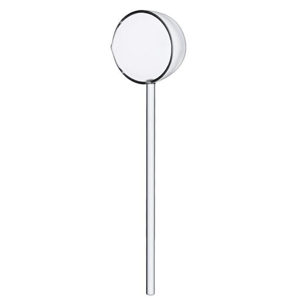 Clear Glass Soup Spoon Long Handle Scoop Teaspoon Kitchen Serving Spoon Ladle for Soup Salt Sugar Spice Sauce Drink Tea Coffee, 