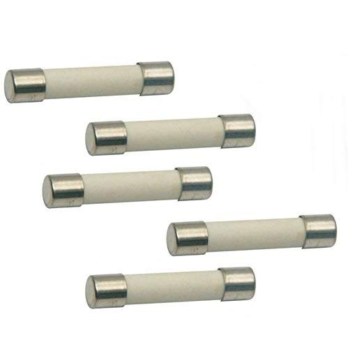 (Pack Of 5) Microwave Replacement Fuse, 20A, 250V, Ceramic Line Fuse, Fast Blow Microwave Fuse