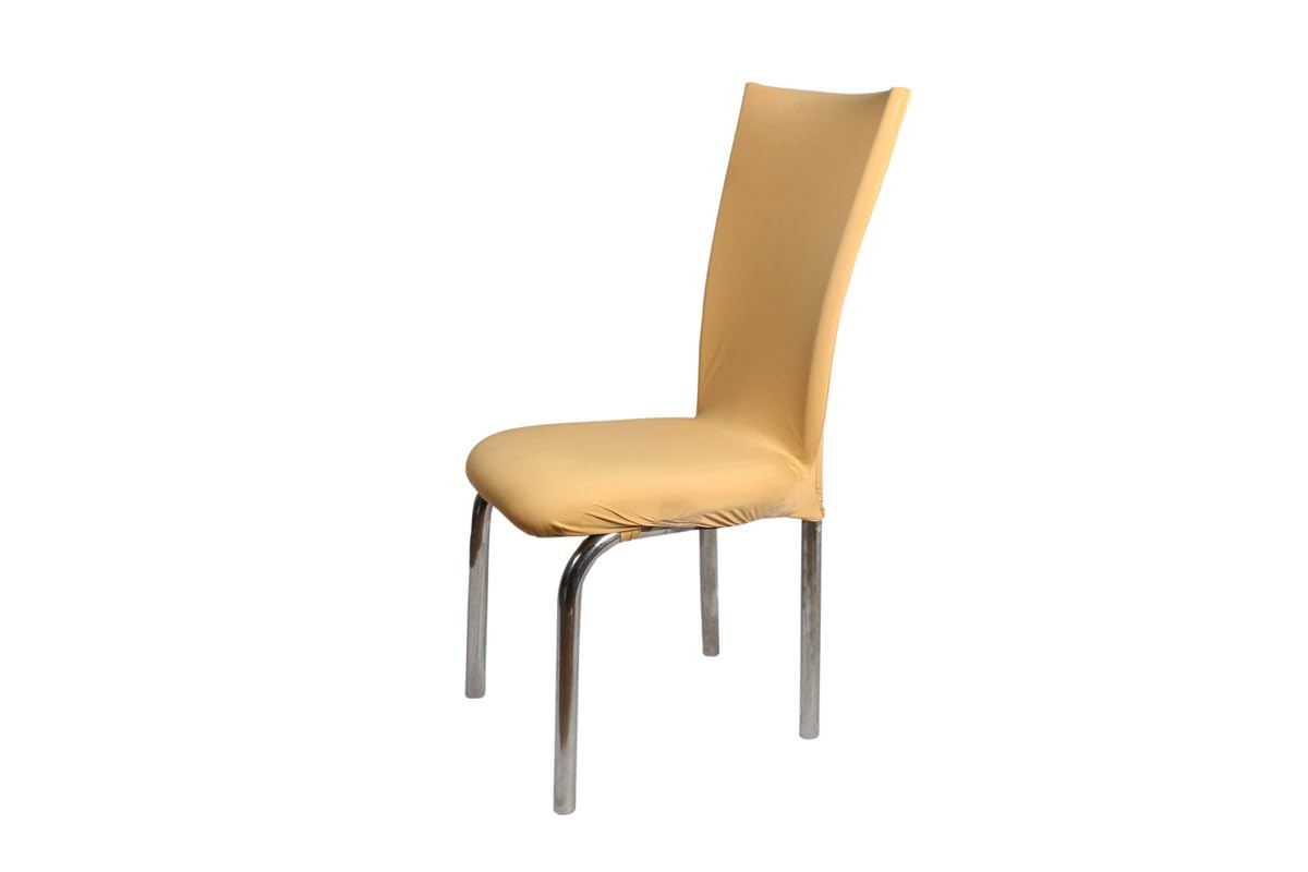 The Furnishing Tree Polyester Spandex Chair Cover Washable Stretchable Beige Set Of 1