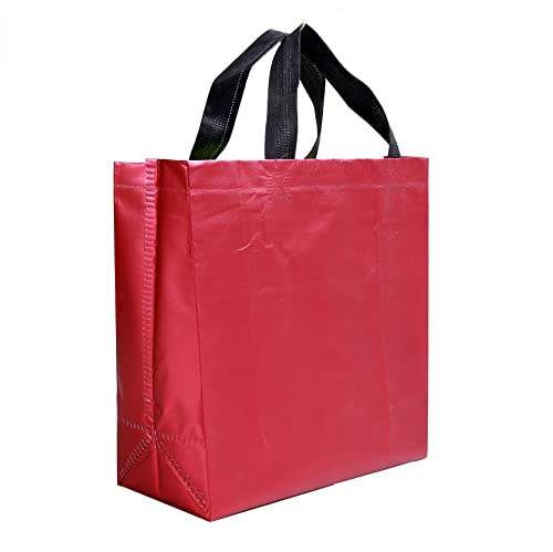 Drapme Small Size Pack Of 10 Pcs Matt Metallic Laminated Non-Woven Reusable Eco-Friendly Party Return Gift Bags (Maroon) (Small 