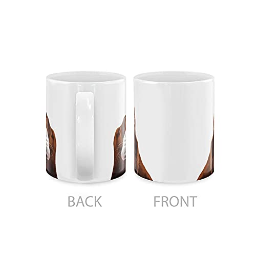 Mugbrew Cute Basset Hound Dog Full Portrait Ceramic Coffee Mug Tea Cup, 11 Oz