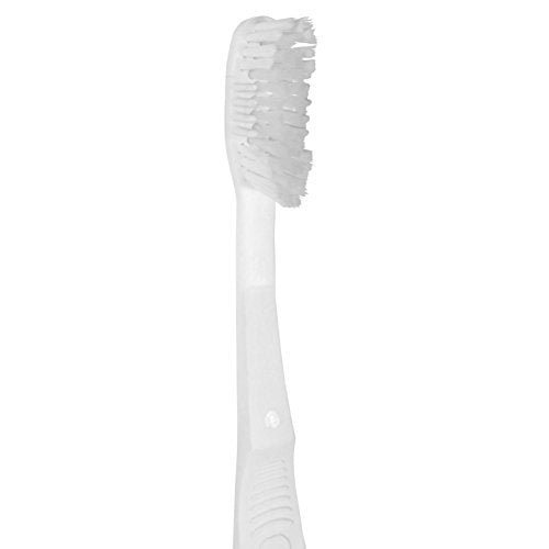 Miami Dolphins Toothbrush Mvp Design