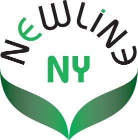 Newline Ny Stainless Steel Egg Strainers Separates Egg Yolk And Whites Kitchen Tool