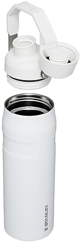 Stanley Iceflow Fast Flow Water Bottle 24 Oz | Angled Spout Lid | Lightweight & Leakproof For Travel & Gym | Insulated Stainless