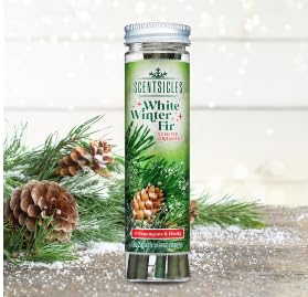 Scentsicles White Winter Fir and O Christmas Tree Scented Christmas Ornaments with Hooks - 2 Pack (2 Bottles, 12 Sticks Total)