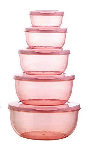Dhavl 5 Pcs Kitchen Food Container Meat Storage Box Fridge&Freezer Fish Storage Basket Round Food ContainerPlastic Bowl Package