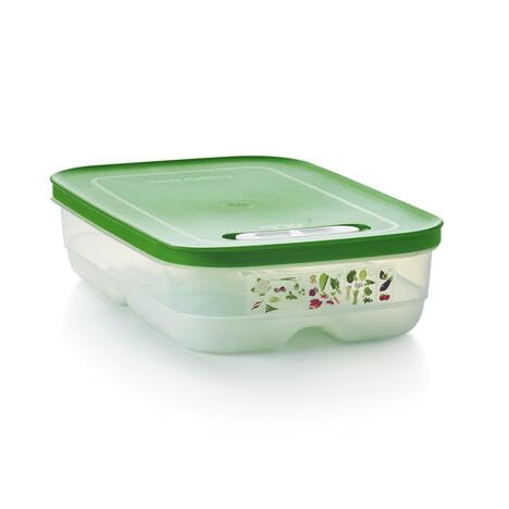 Tupperware Fridgesmart Medium Container, Sheer With Wintergreen Seal