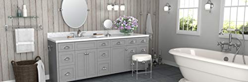 Gatco 4123 Tavern Toilet Paper Holder  Polished Nickel / Wall Mounted Euro Style Toilet Tissue Holder  Zinc