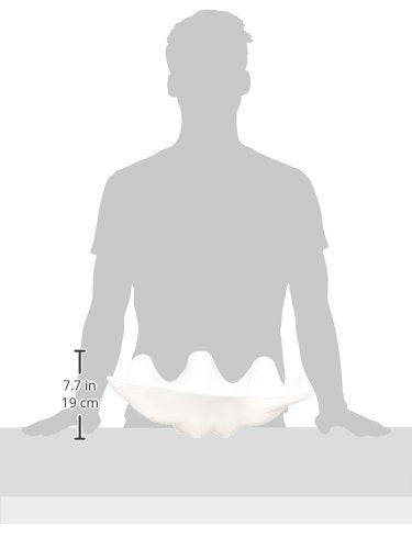 Winco Psbw-5W Shell Bowls, 5-Quart, Pearl,White,Medium