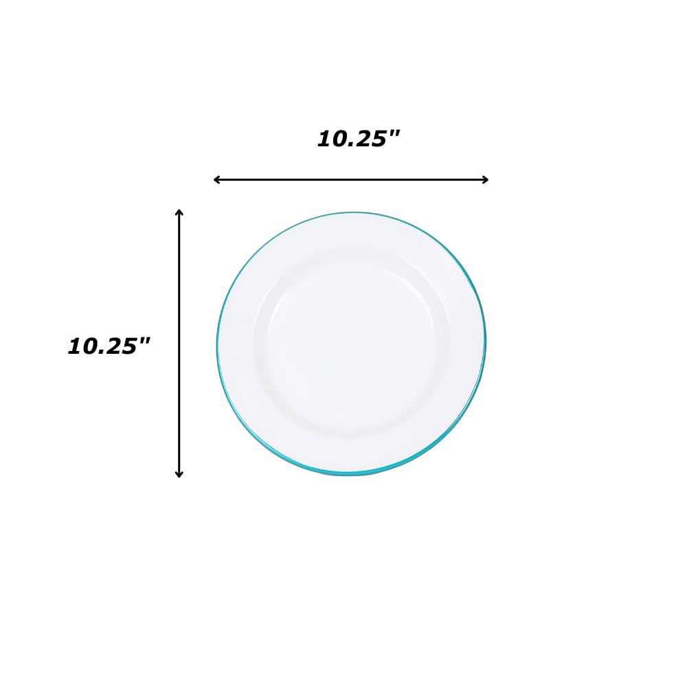 Crow Canyon Home Enamelware Dinner Plate, 10.25 Inch, Vintage White/Grey (Single)