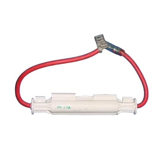 J K B K - Microwave Oven High Voltage Fuse 800Ma 0.7A 5Kv
