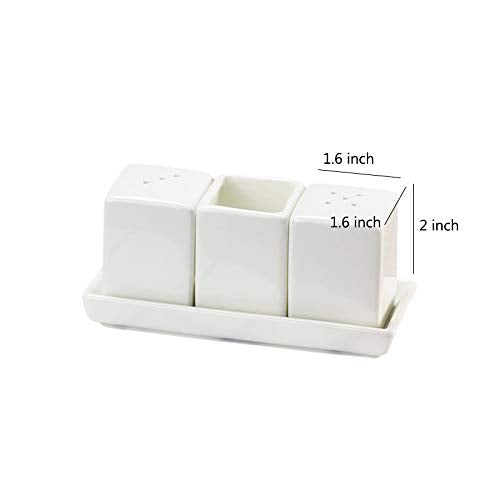 Sizikato Set Of 4 Pure White Porcelain Salt And Pepper Shakers And Toothpick Holder And Tray.