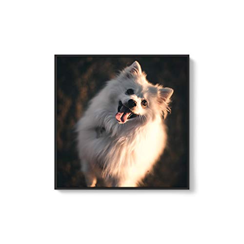 Nwt Custom Framed Canvas Prints With Your Photo For Pets, Personalized Canvas Wall Art For Living Room, Bedroom - 24X24 Inches