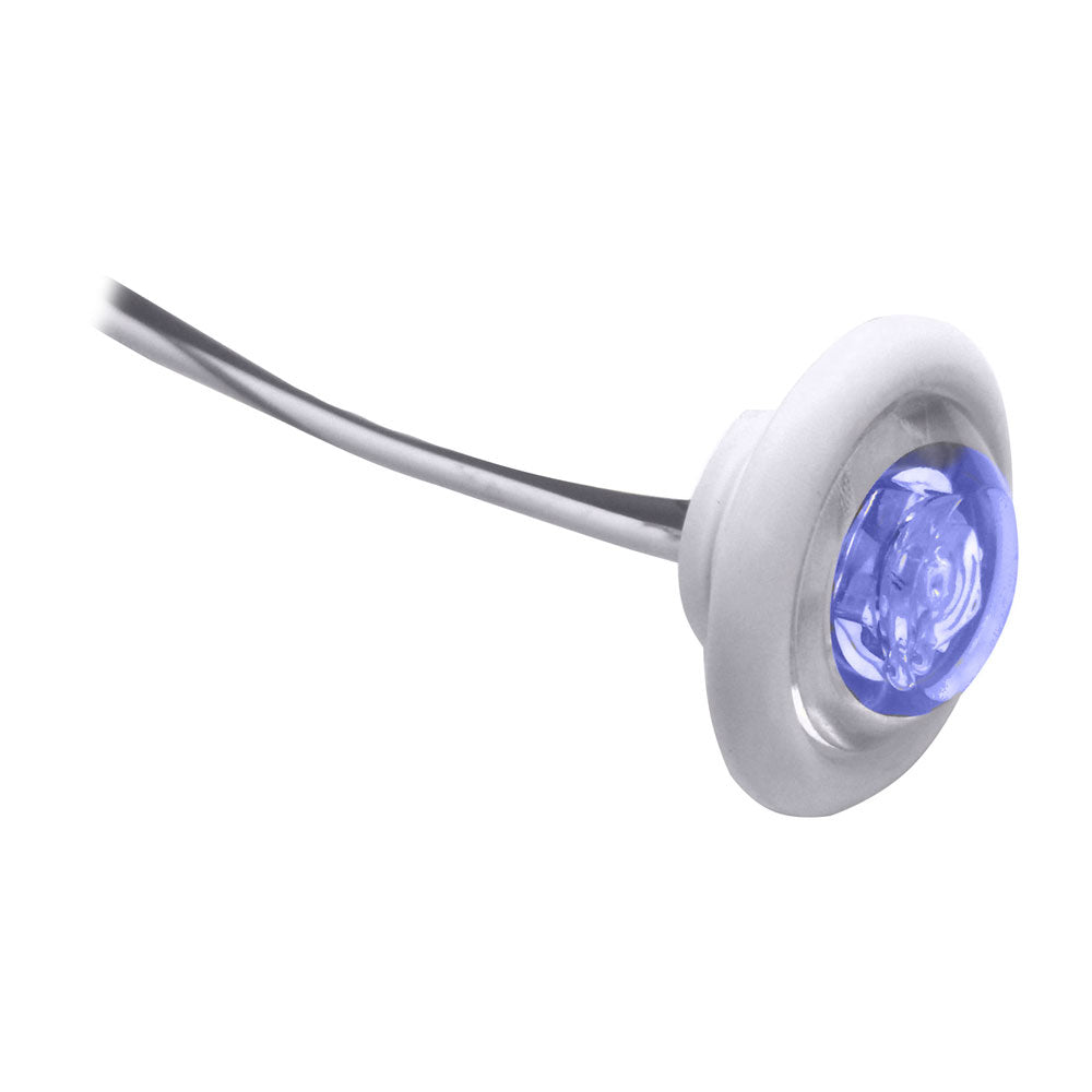 Innovative Lighting LED Bulkhead/Livewell Light The Shortie Blue LED w/ White Grommet