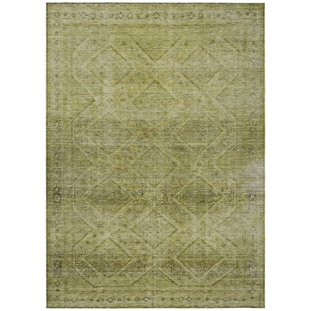 Machine Washable Indoor/Outdoor Chantille ACN2060 Aloe 3 x 5 Rug