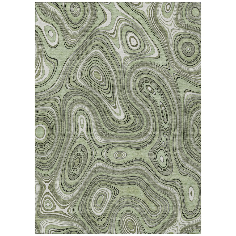 Machine Washable Indoor/Outdoor Chantille ACN2097 Aloe 3 x 5 Rug