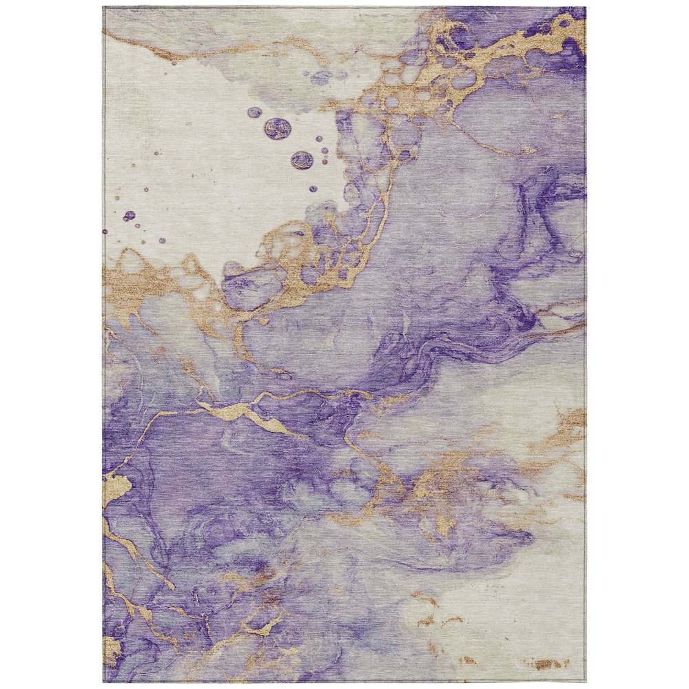 Machine Washable Indoor/Outdoor Chantille ACN2110 Purple 3 x 5 Rug