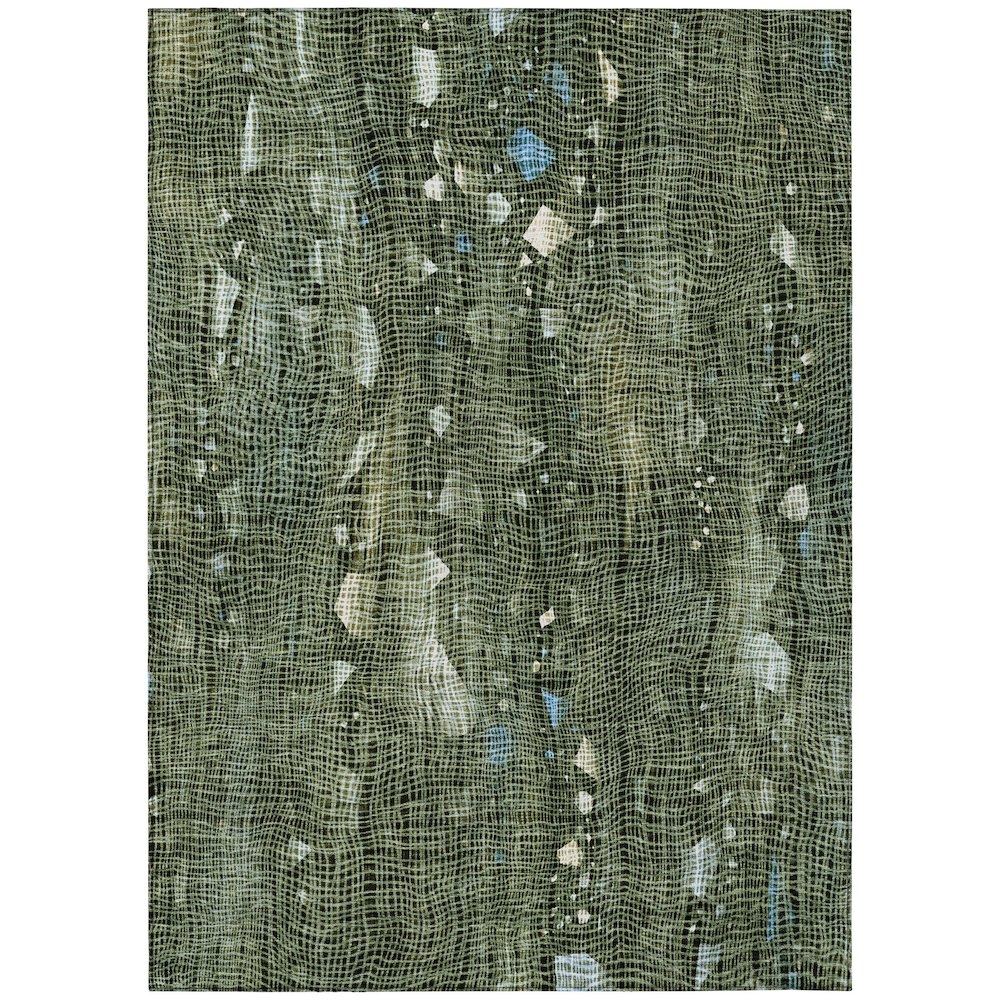 Machine Washable Indoor/Outdoor Chantille ACN2092 Fern 8 x 10 Rug