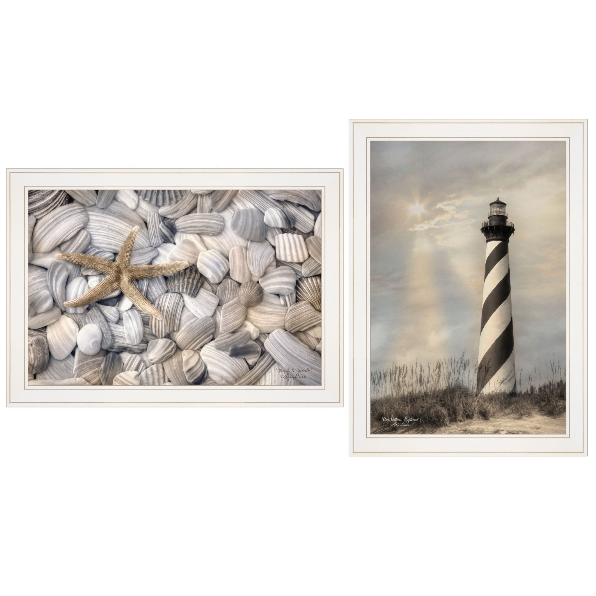 Set Of Two cape Hatteras Lighthouse And Sea Shells 3 White Framed Print Wall Art