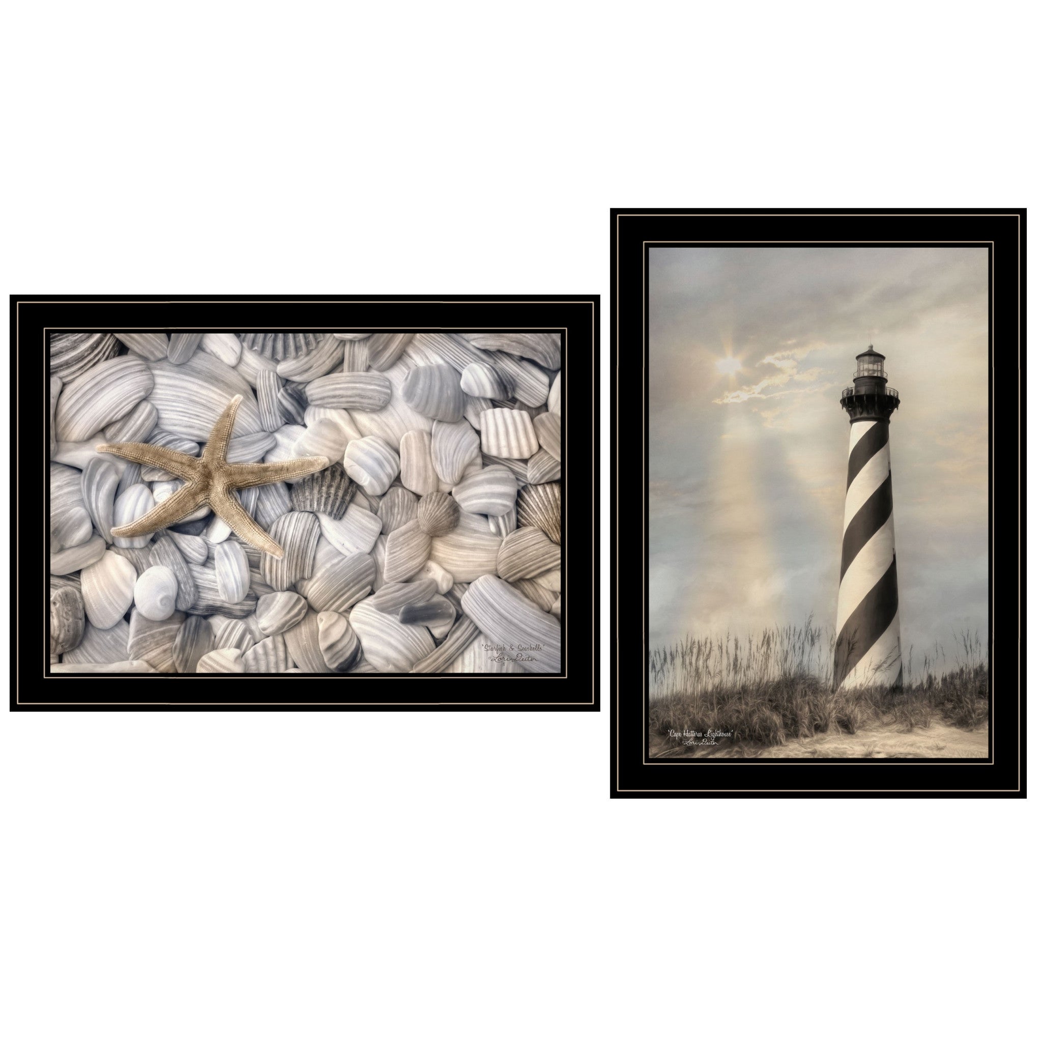 Set Of Two cape Hatteras Lighthouse And Sea Shells 4 Black Framed Print Wall Art