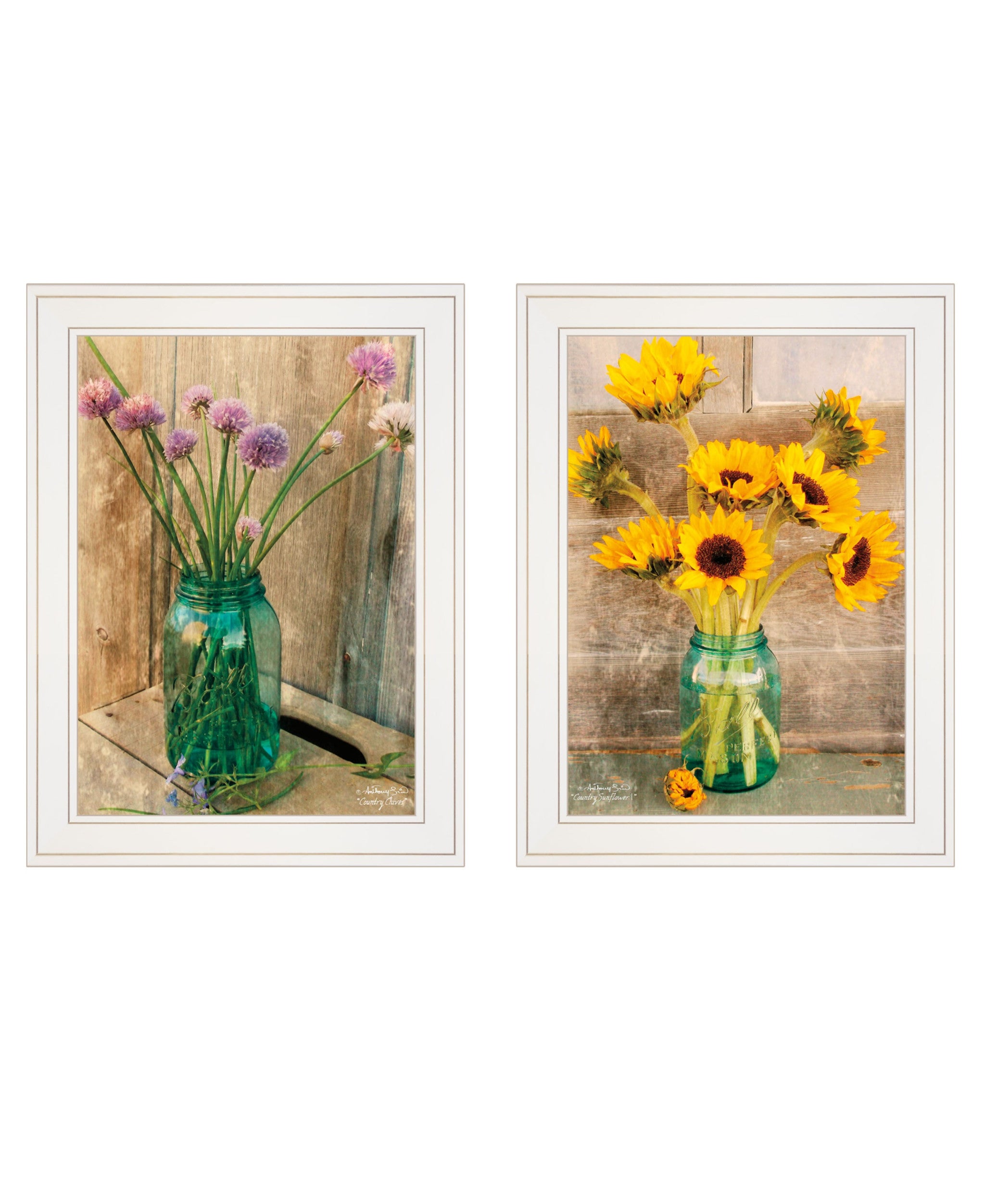 Set Of Two country Sunflowers And chives 1 White Framed Print Wall Art
