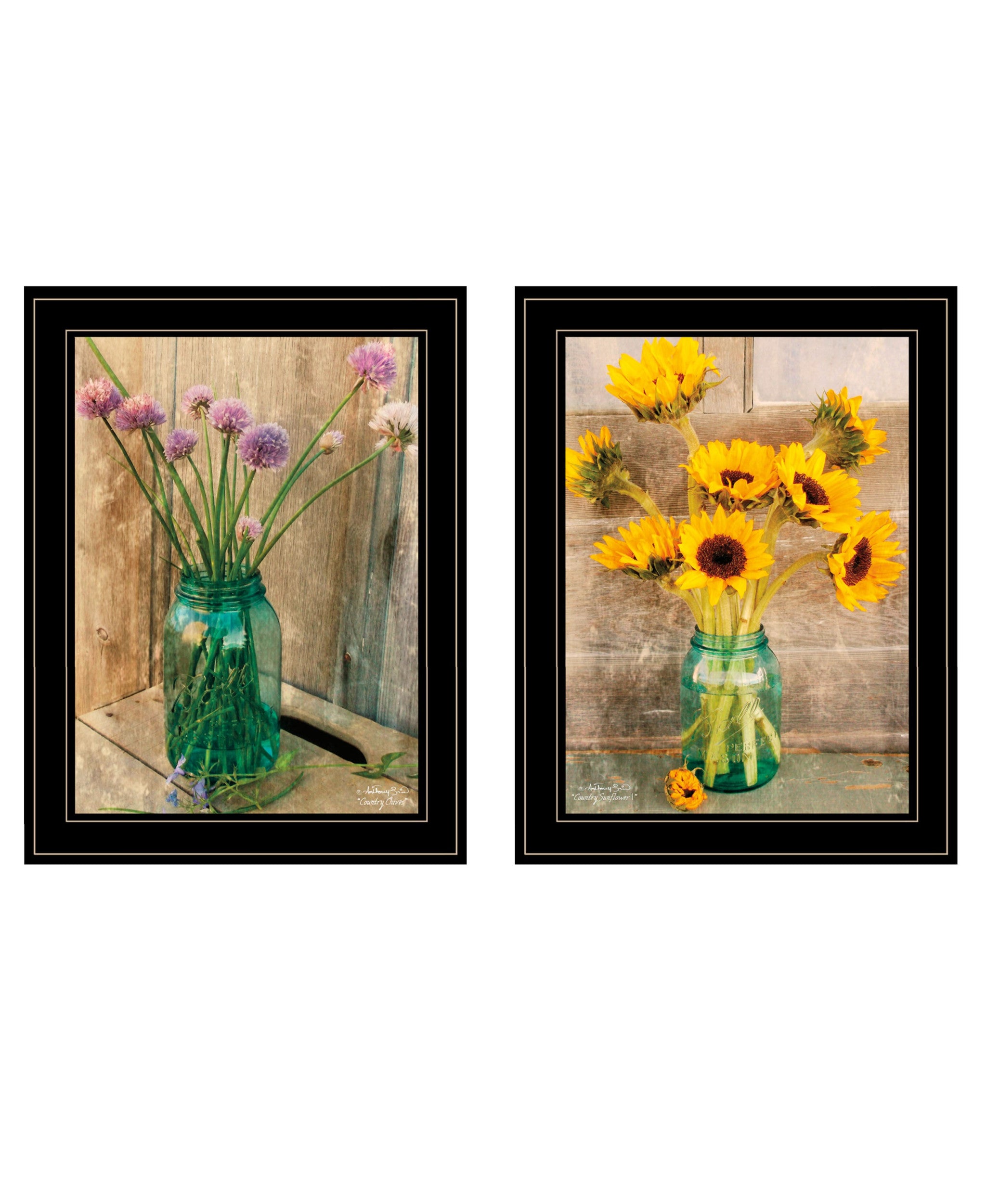 Set Of Two country Sunflowers And chives 2 Black Framed Print Wall Art