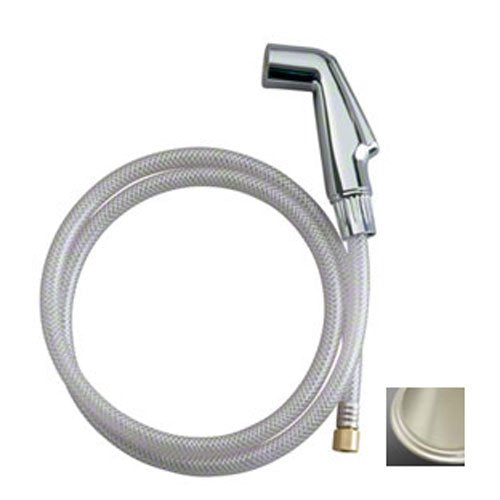 Kohler Genuine Part Gp1021724-Bn Kitchen Faucet Side Spray With Hose, White