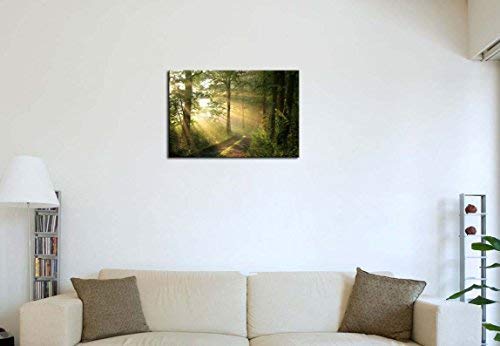 Forest Wall Art Modern Canvas Painting The Picture for Home DecorationTrees Foggy Morning Spring Landscape Print On Canvas Giclee Artwork for Wall Decor