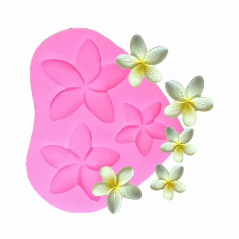 4Pcs Frangipani Plumeria Floral Hibiscus Flower Silicone Molds For Diy Fondant Candy Making Tools Chocolate Mold Desserts Clay B