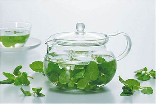 HARIO ChaCha Kyusu Glass Tea Pot, 450ml, Model CHJMN-45T, Perfect for Tea Lovers