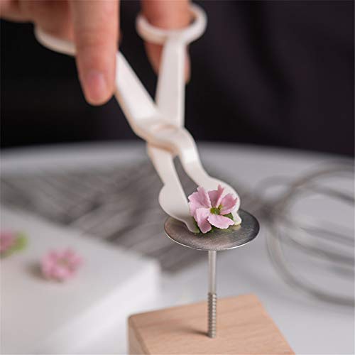 6Pcs Cake Flower Nail And Flower Lifters Set, Stainless Steel Cake Cupcake Decor Baking Tools For Icing Flowers Decoration (4 Si