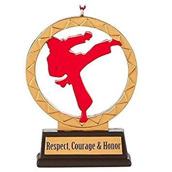 Martial Arts Hallmark Gift Ornament Sports & Activities