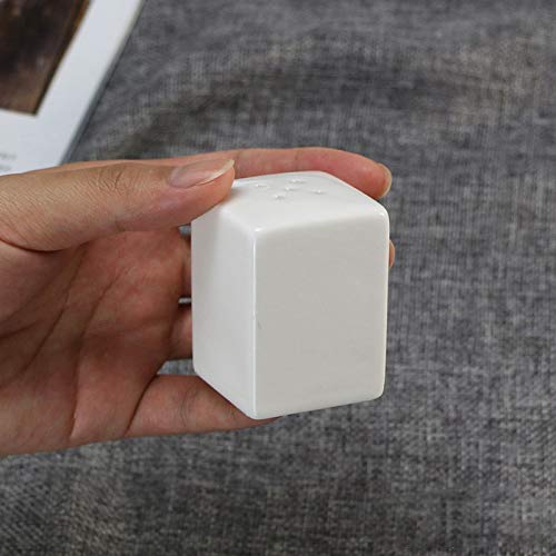 Sizikato Set Of 4 Pure White Porcelain Salt And Pepper Shakers And Toothpick Holder And Tray.