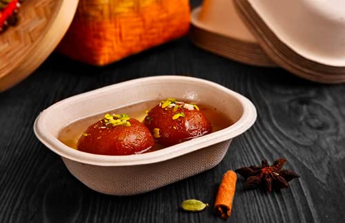 Vik 250 Ml Rectangular Disposable Bowls (Pack Of 50), Bagasse Bowls, Brown