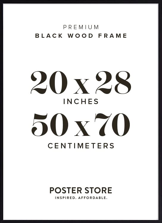 Poster Store 20X28 Black Wood Picture Frame